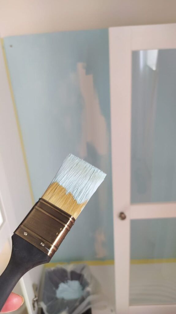 Me painting Ikea havsta cabinet blue